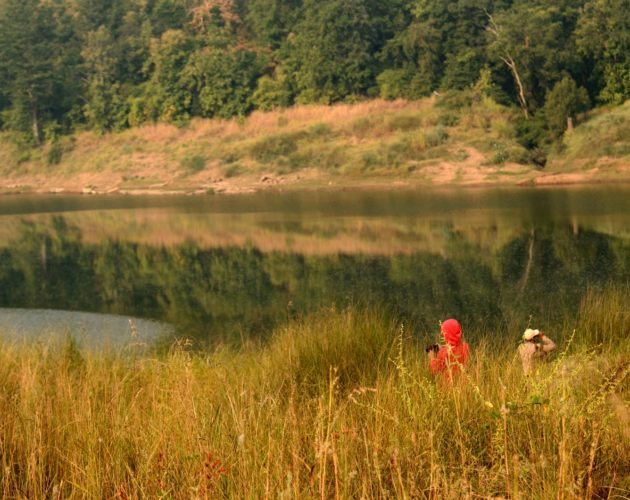 Panna National Park, Madhya Pradesh