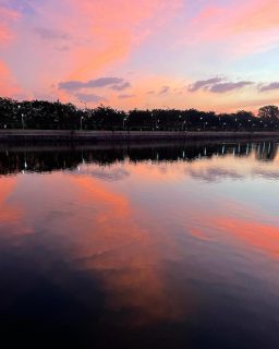 Sunsets are poignant but the setting sun paints the sky with a flourish, refusing to bow down to the night sky that is waiting to engulf it . 

The last  Sankey Sunset of this year - delicate strokes of soft pinkish hues adorn the skies , reflecting in the waters . 

I am heading to Chennai tomorrow and hence this sunset will be extra special to  me as I will gaze upon the Sankey skies only in the next year . My heart is full .