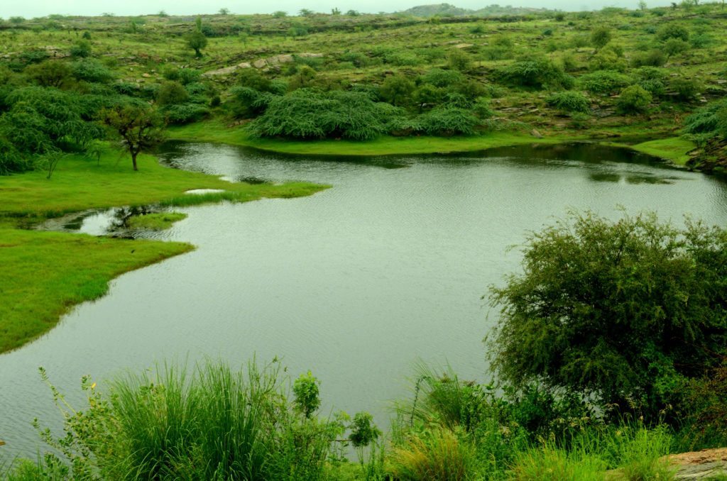 lakshmansagar-rajasthan (1)