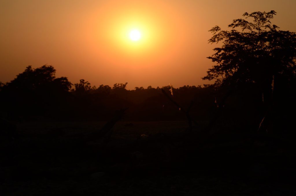 Sunrise Corbett wildlife