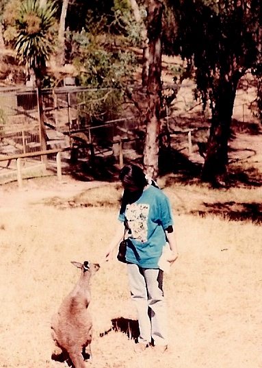 Adelaide, Kangaroos, Australia