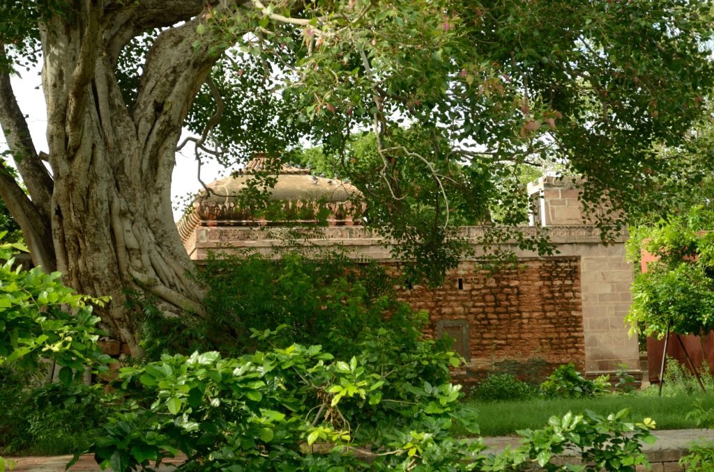 Mandore, ruins, Jodhpur