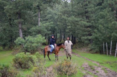 Yusmarg, Yousmarg, Meadow of Jesus, Kashmir