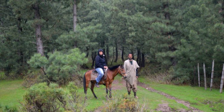 Yusmarg, Yousmarg, Meadow of Jesus, Kashmir