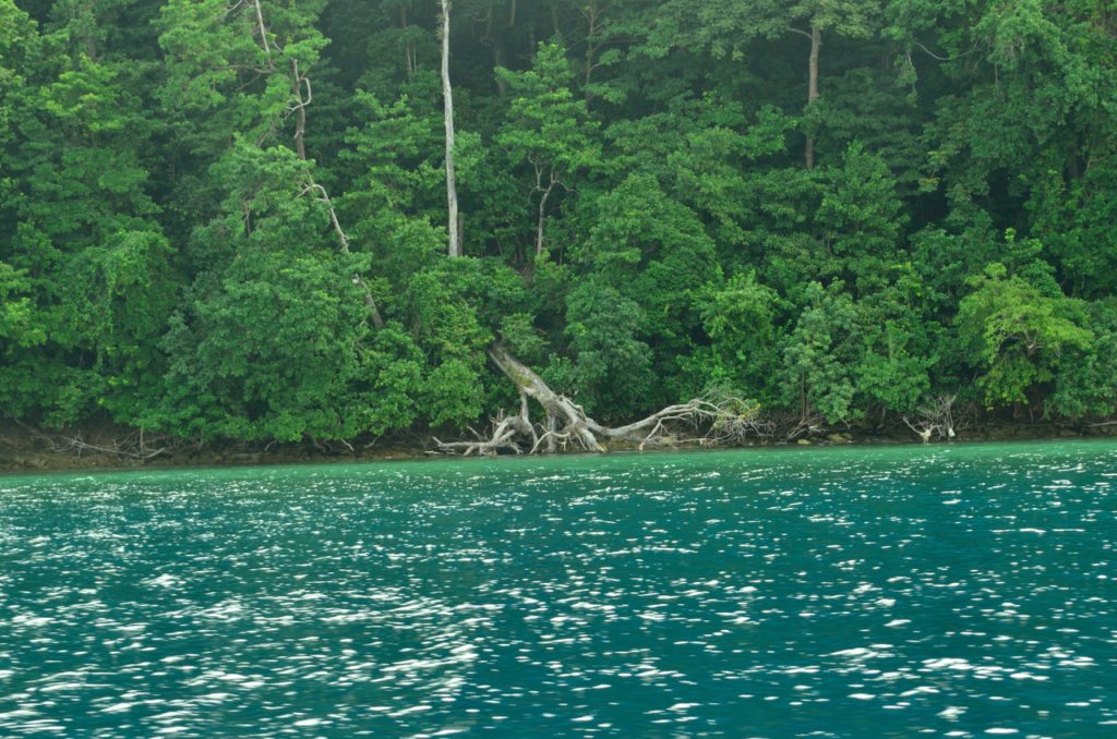 Andaman- Havelock- islands