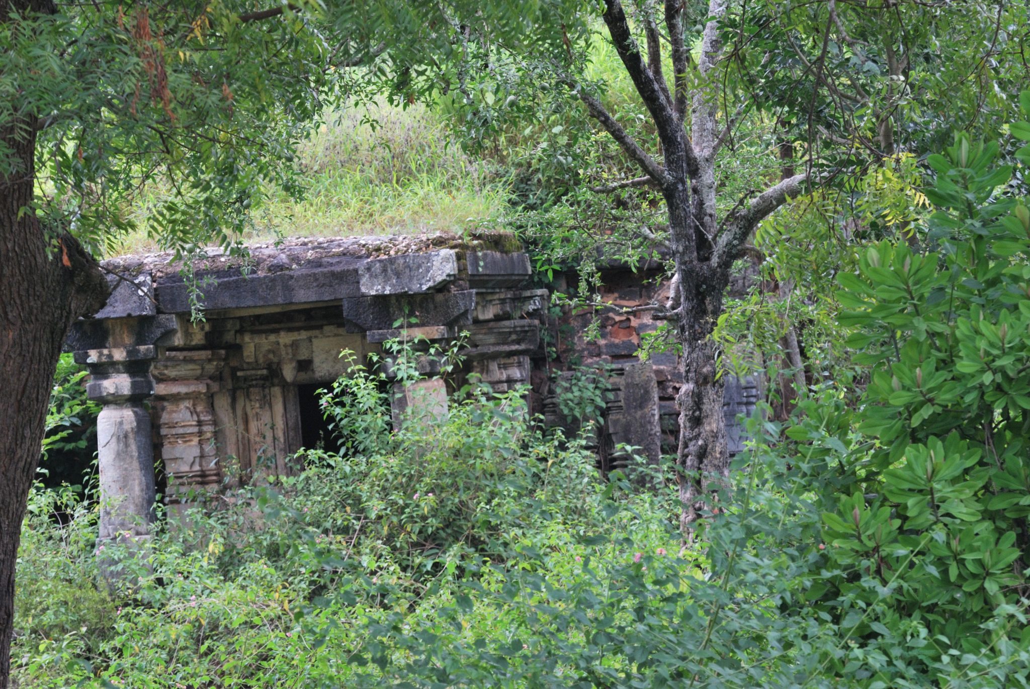 Ten reasons why you must visit Western Ghats in India