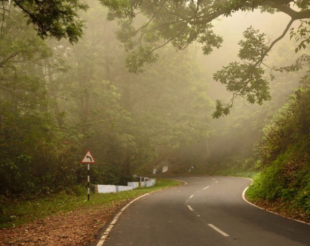 Valparai forests Western Ghats