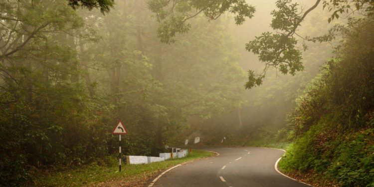 Valparai forests Western Ghats