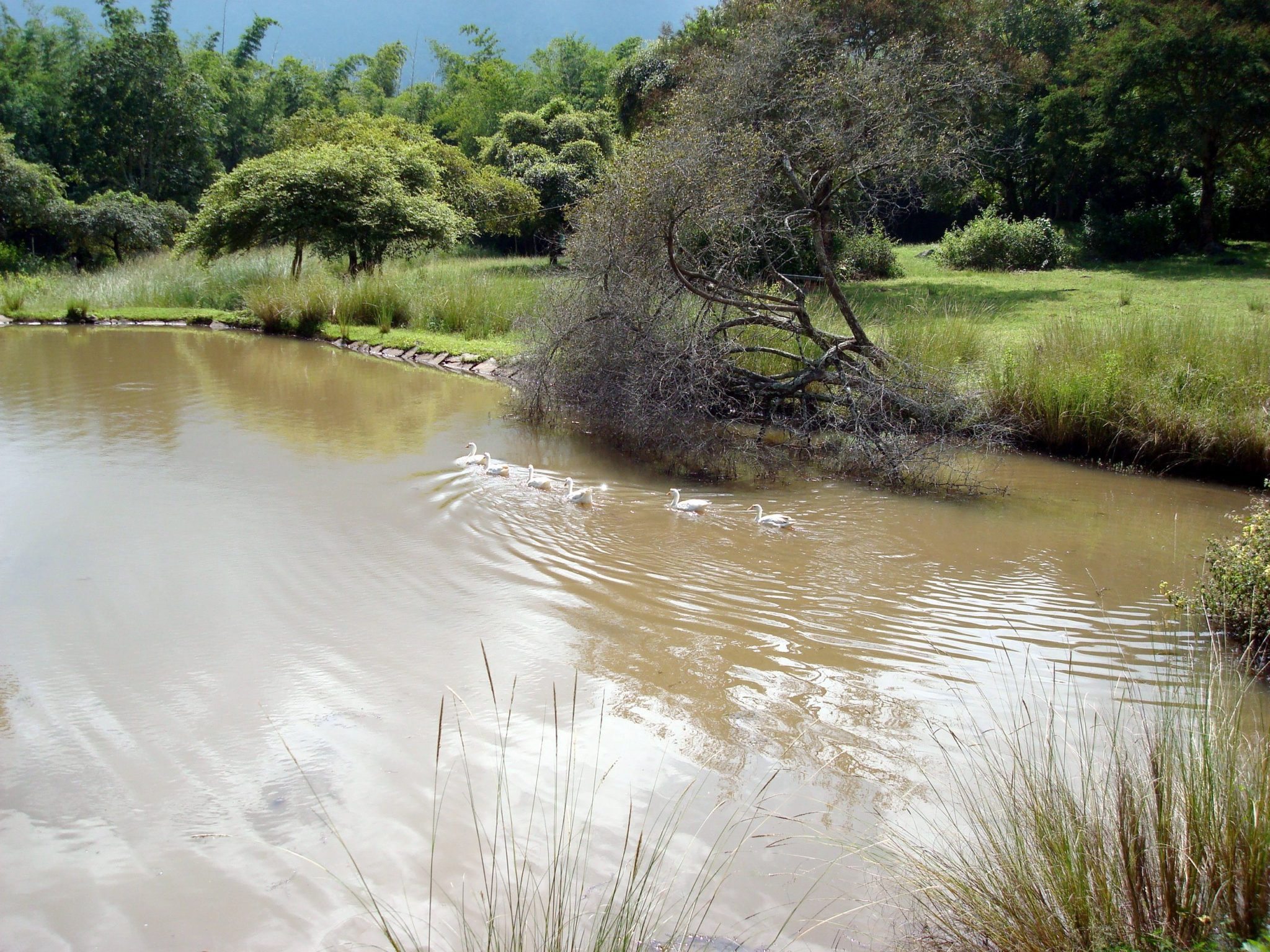 Western Ghats in Tamil Nadu