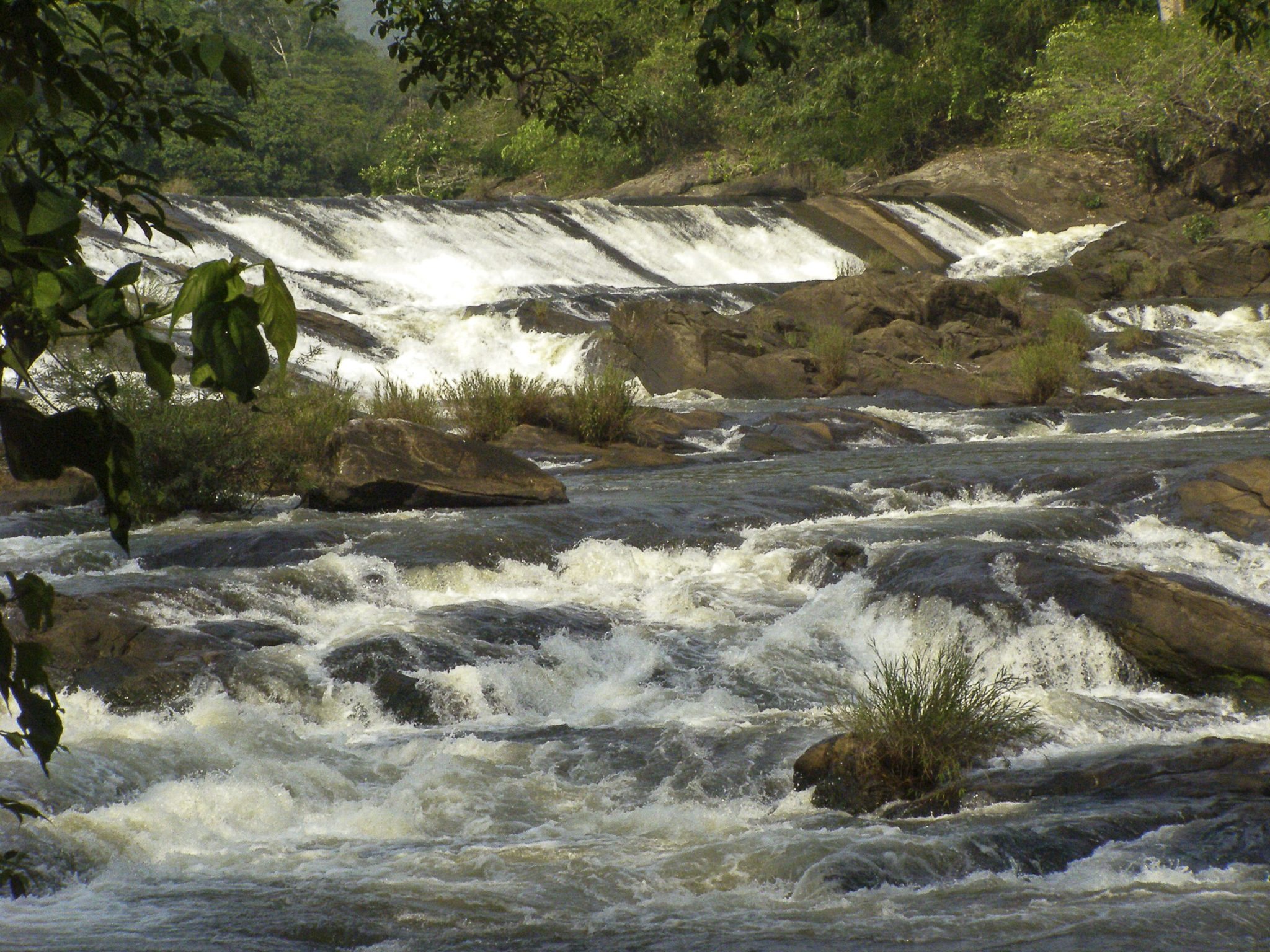 Western Ghats in Tamil Nadu
