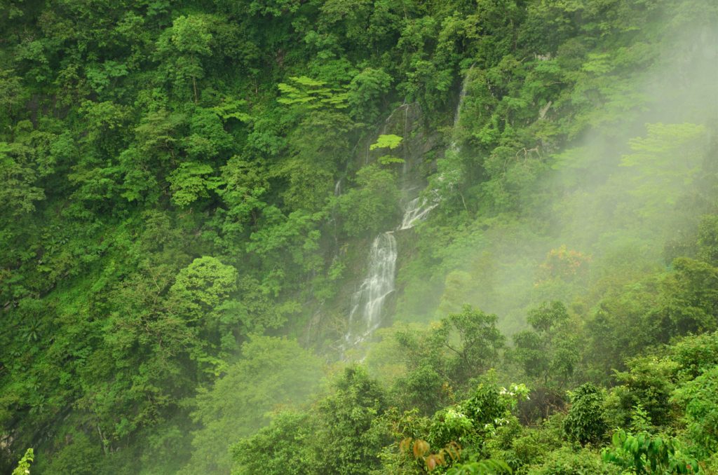 Jog Falls Karnataka , Western Ghats