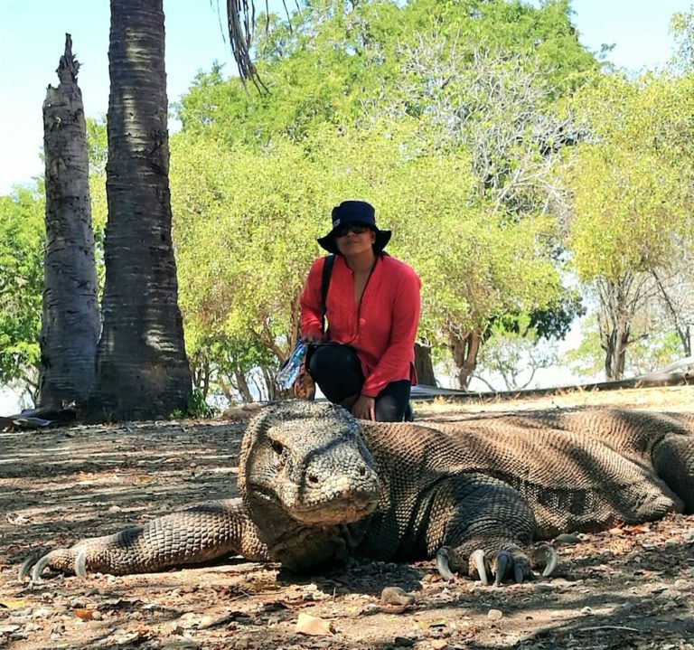 Sighting Komodo Dragon at Komodo National Park at Komodo Island