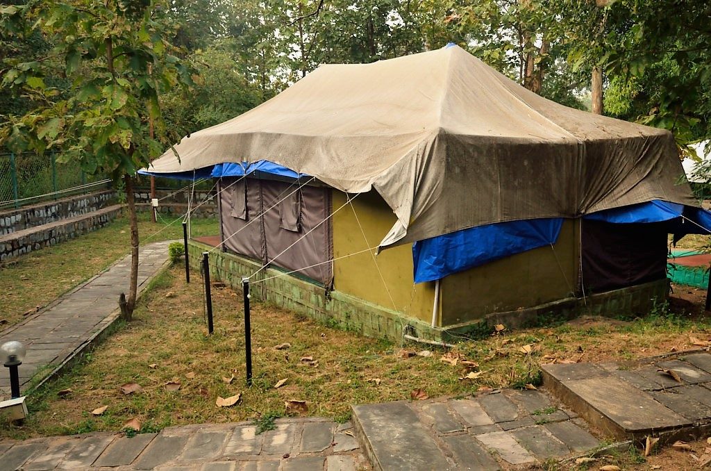 Madhya Pradesh, Panna Jungle Camp