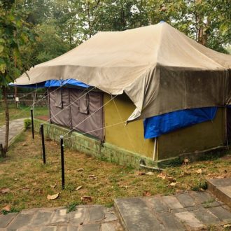 Madhya Pradesh, Panna Jungle Camp