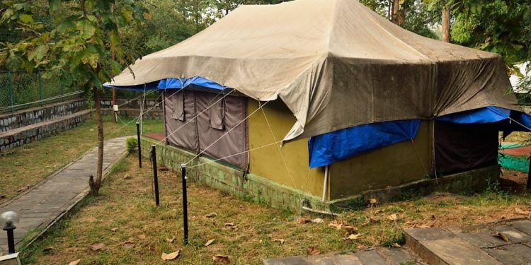 Madhya Pradesh, Panna Jungle Camp