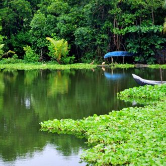 Top 10 places to visit in Kerala