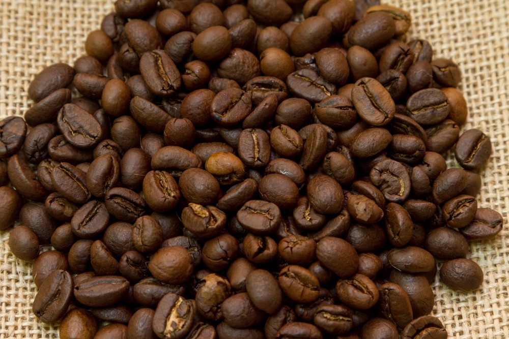 history of coffee in India