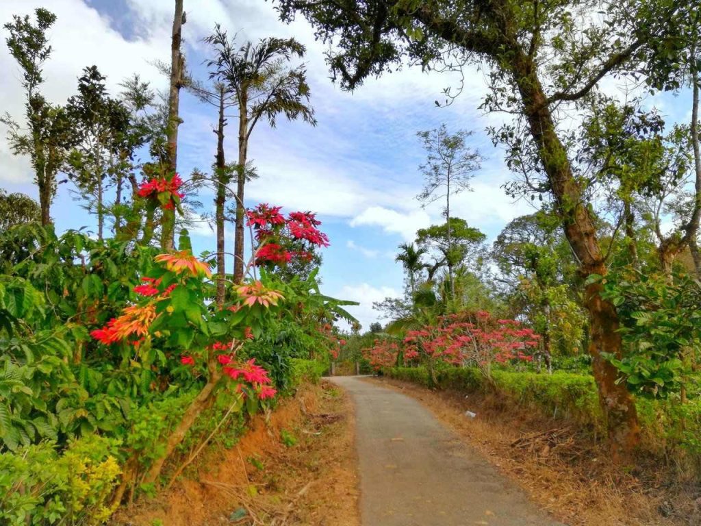 homestay near Madikeri, stay in Madikeri