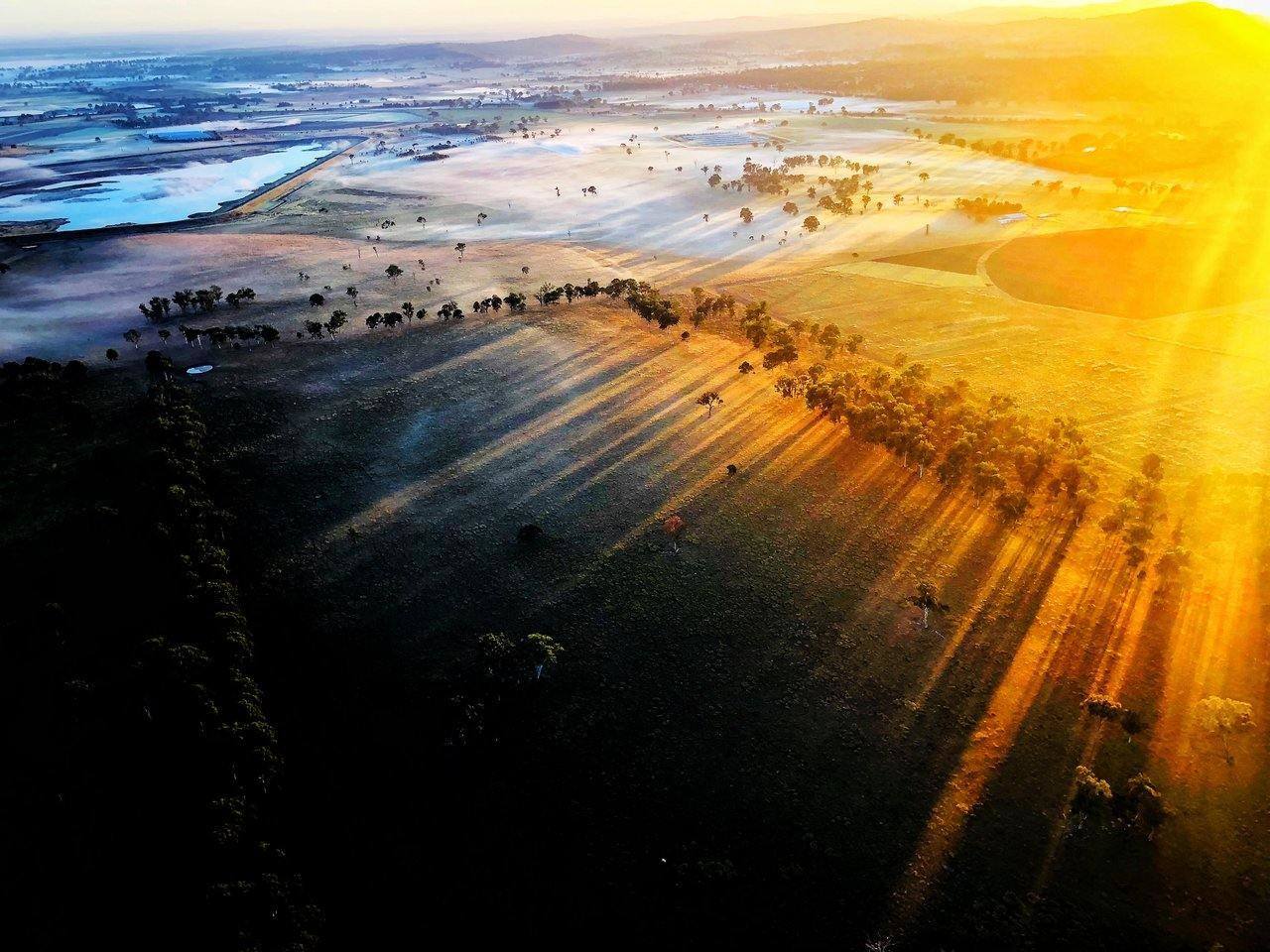 Things to do in Gold Coast Hinterland Visit a 23 million year old forest Lakshmi Sharath