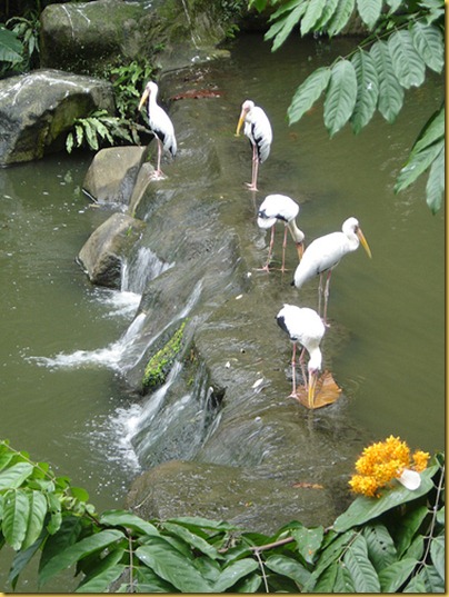 KL Birdpark