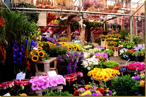 amsterdam-flower market