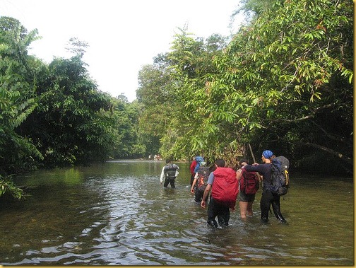 borneo