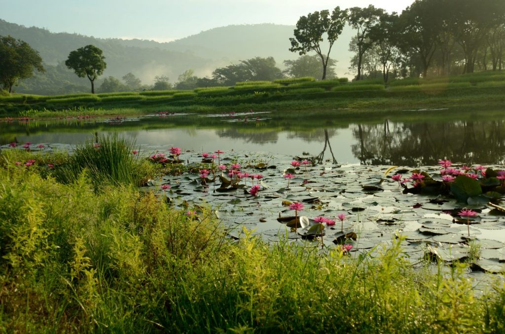 Rural Thailand, Villages of Thailand, Nakhon Nayok