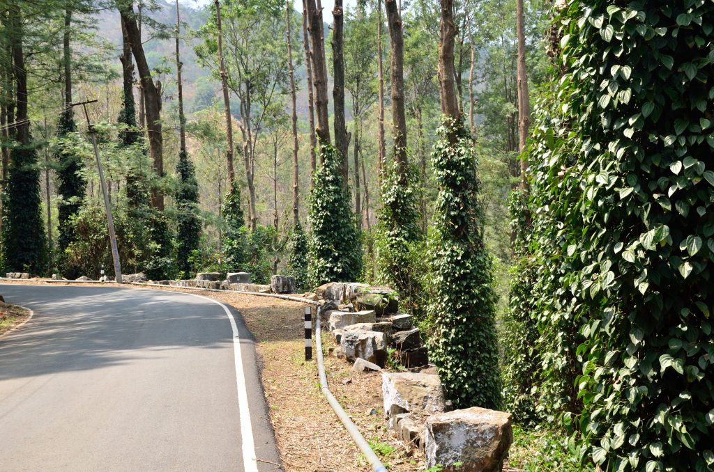 Places to see in Yercaud, Yercaud attractions