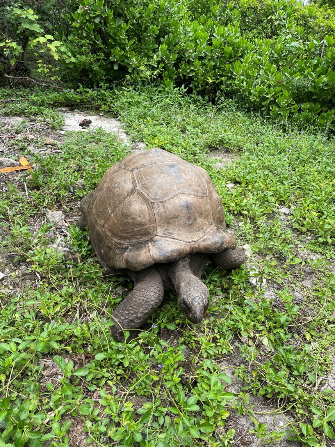 ten-experiences-and-top-things-to-do-in-mauritius