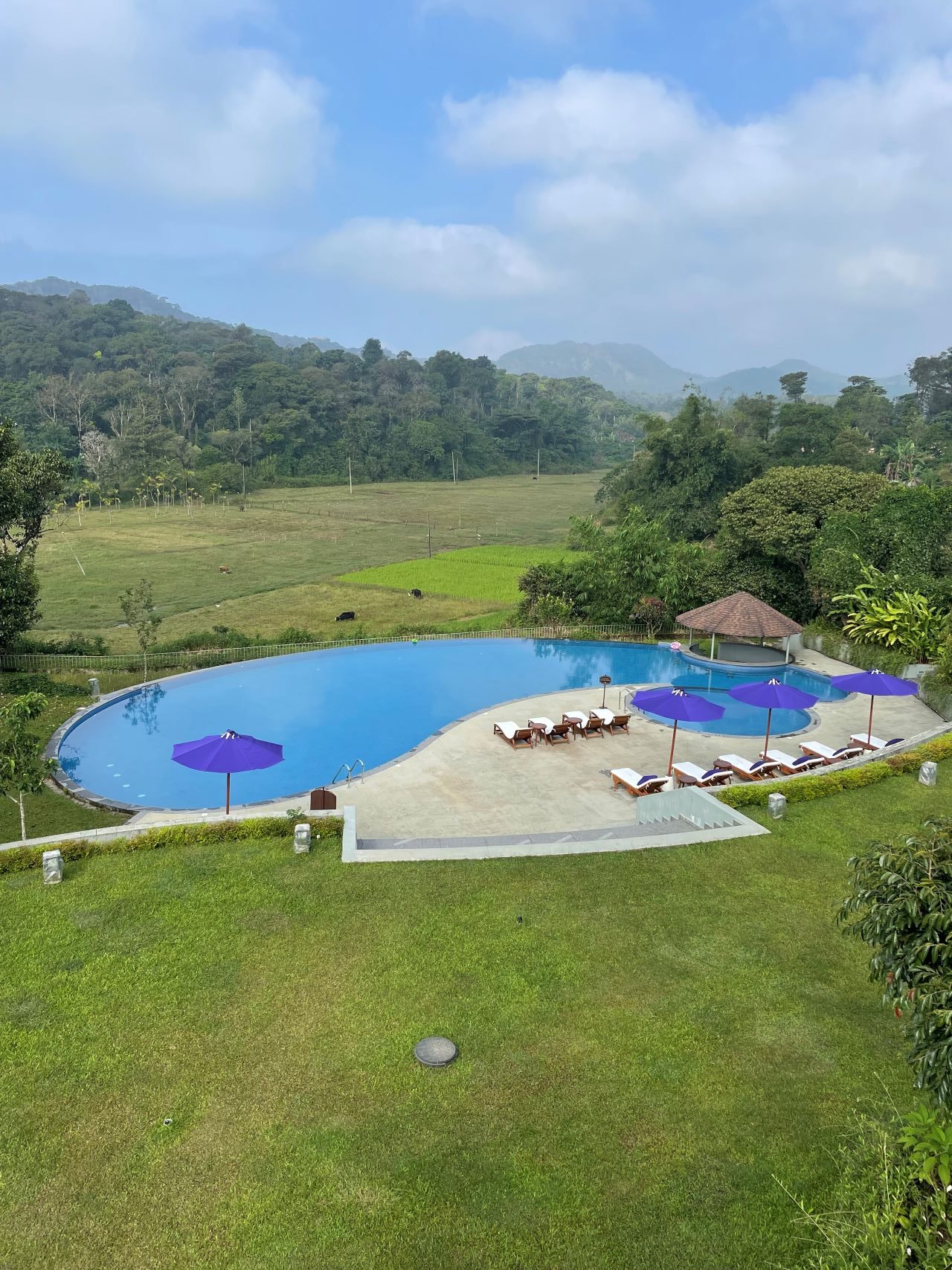 Aurika Pet friendly resort in