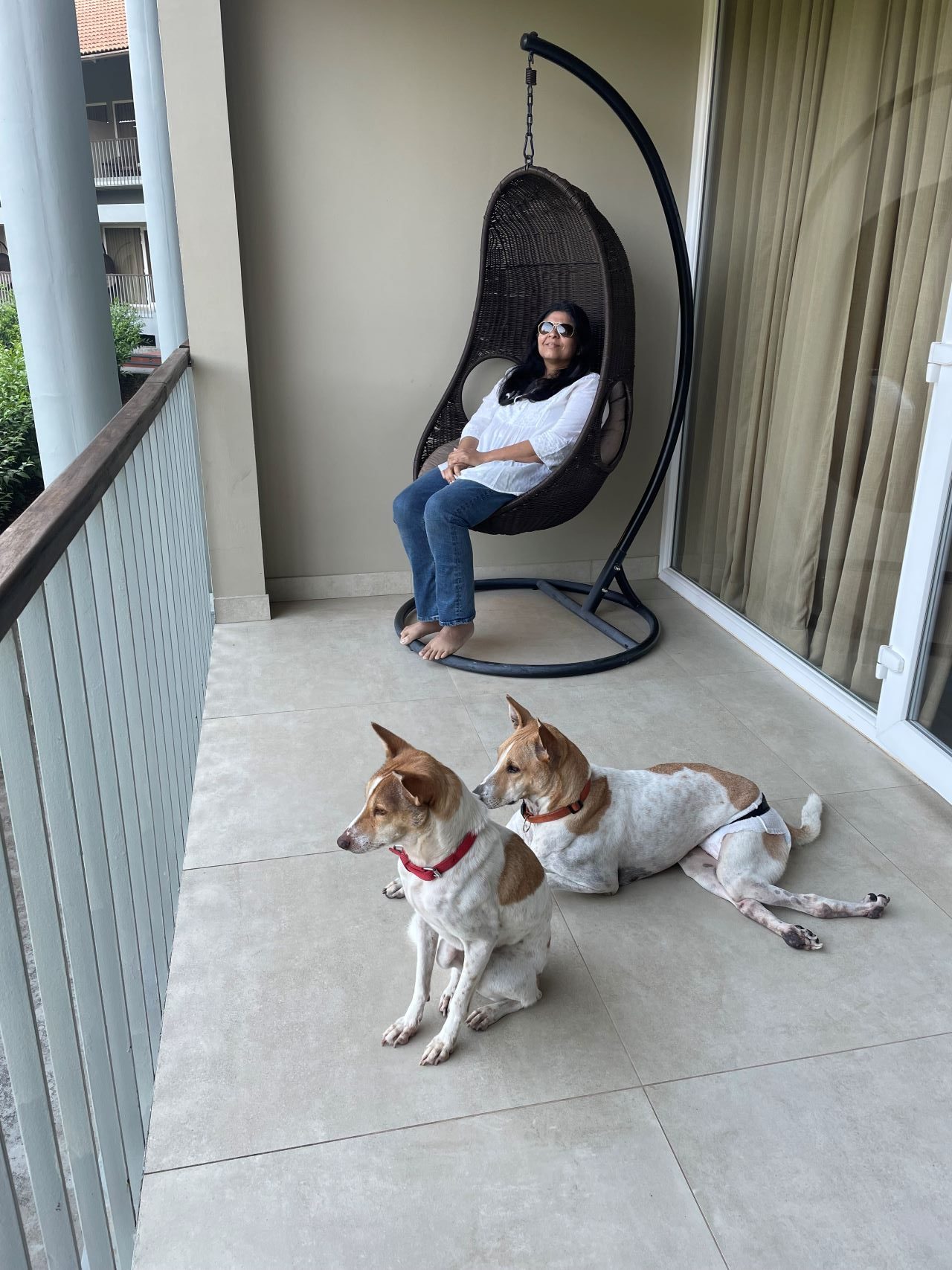 Aurika Pet friendly resort in