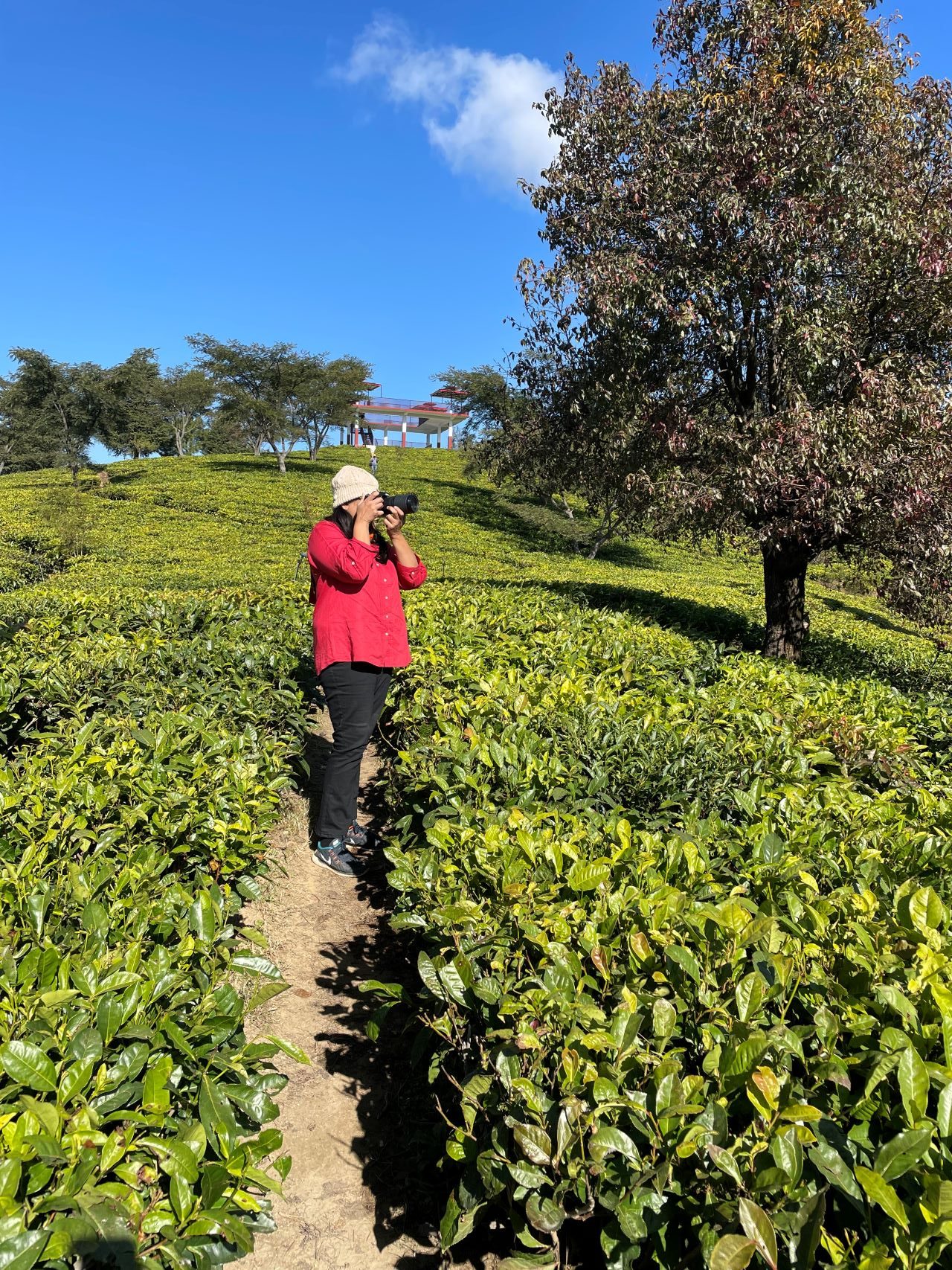 Tourist places in Champawat Places to visit in Champawat