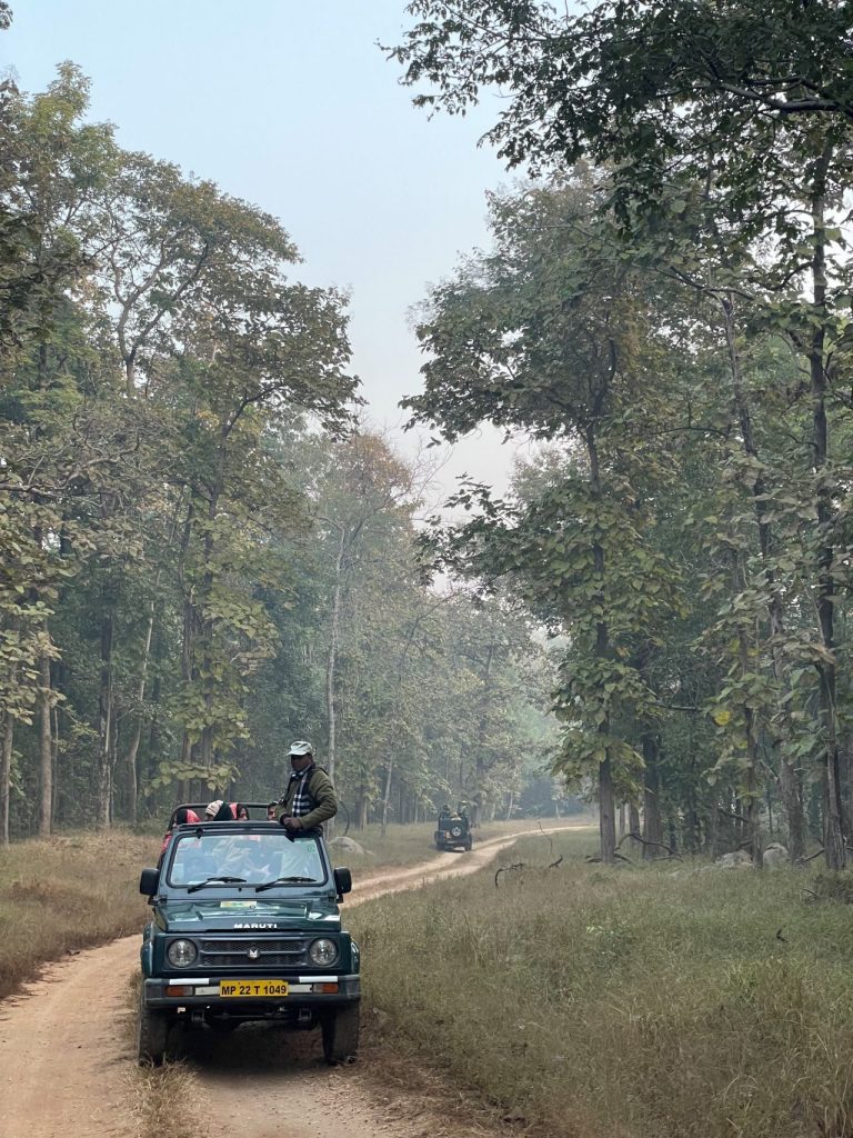 pench tiger reserve best time to visit