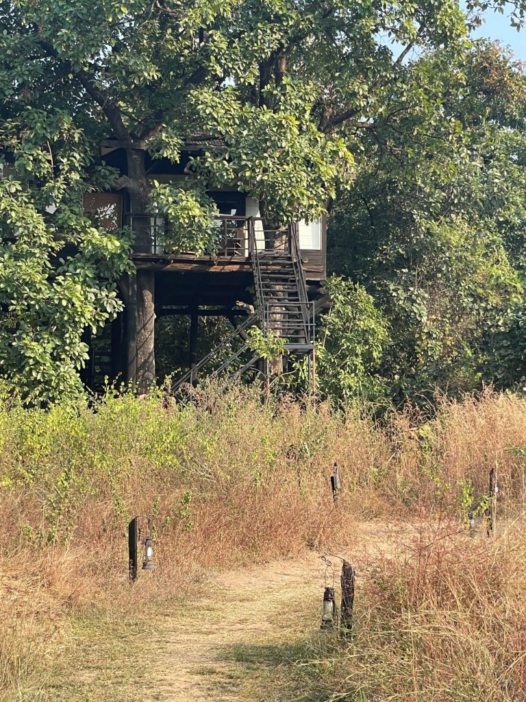  Pench tiger reserve lodges, resorts in Pench Tiger Reerve, Pench Tree Lodge