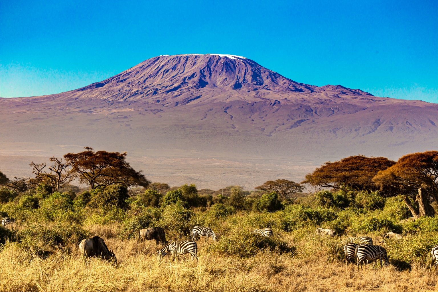 Climbing Mount Kilimanjaro Travel Guide